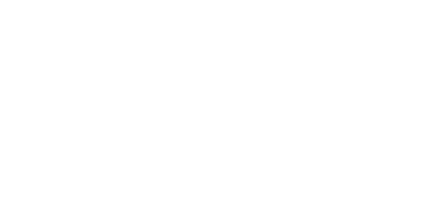 Vytautas Magnus University